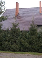 BUDMAT Blachodachówka Zefir 350 Brąz | wykonanie: Komplex Dach